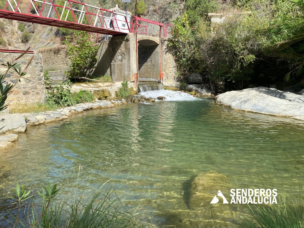 003-senderosandalucia-charco-porton-alto-tolox-malaga-007