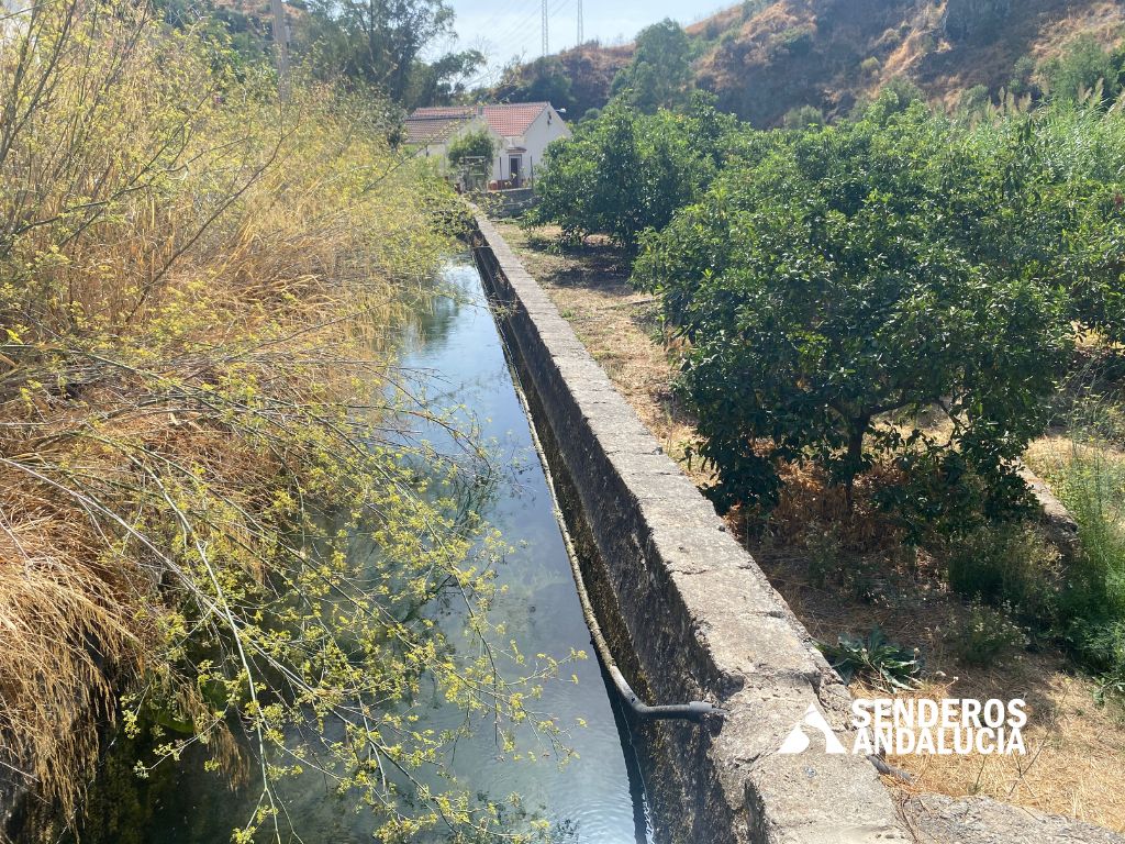 003-senderosandalucia-charco-porton-alto-tolox-malaga-010