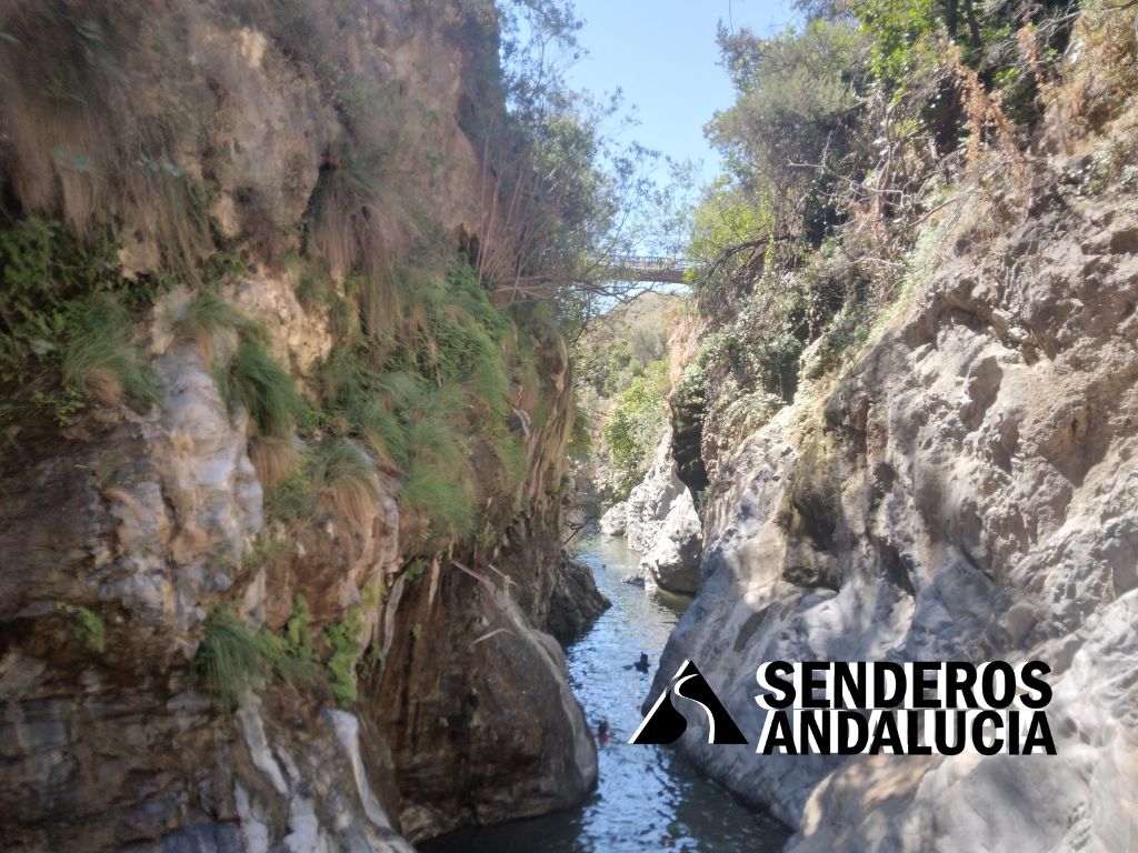 003-senderosandalucia-rio-guadalmina-017