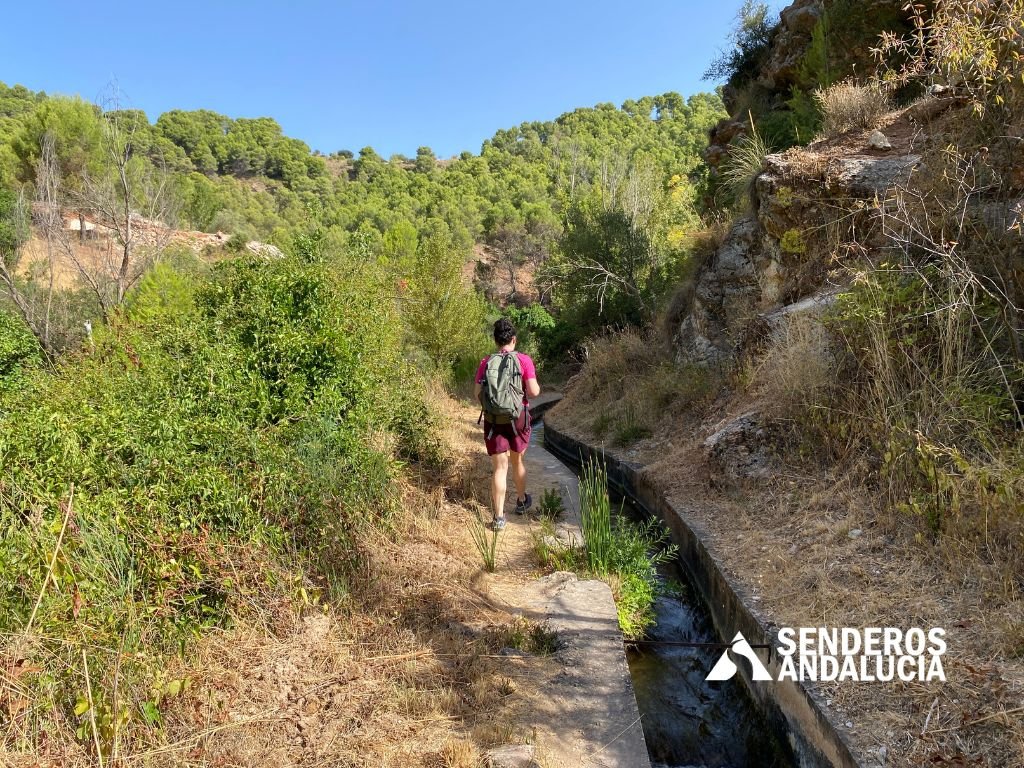 003-senderosandalucia-rio-turon-burgo-malaga-008